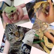 ヒメ日記 2026/06/20 22:24 投稿 あゆ ちゃんこ大阪伊丹空港豊中店