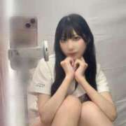 しろ おはすいよう💤 新宿カルテ