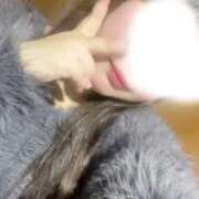 ヒメ日記 2026/03/31 16:00 投稿 りんか 兵庫加東小野ちゃんこ