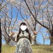 ヒメ日記 2026/04/03 15:54 投稿 りんか 兵庫加東小野ちゃんこ