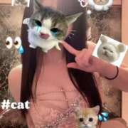 ヒメ日記 2026/03/14 16:41 投稿 にじか MIKADO