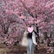 まり 🌼4月のシフト🌼 MIKADO