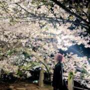 ヒメ日記 2026/04/06 00:13 投稿 ゆきな CLUB DEEP 博多