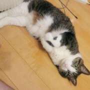 ヒメ日記 2026/03/29 00:06 投稿 しのん ぐっすり山田　池袋店