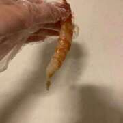 ヒメ日記 2026/04/23 19:10 投稿 なつみ SOAPLAND LOVE FACTORY