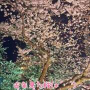 なつ またね(っ'-')╮ ﾌﾞﾝ=͟͟͞ ❤️ 水戸ソープランド　水戸スリーナイン(9990)