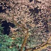 なつ ( *・ω・)ノこんばんわ 水戸ソープランド　水戸スリーナイン(9990)