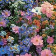 ヒメ日記 2026/03/28 09:15 投稿 まりえ 熟女総本店 堺東店