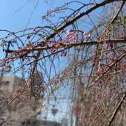 ヒメ日記 2026/04/03 14:08 投稿 まりえ 熟女総本店 堺東店