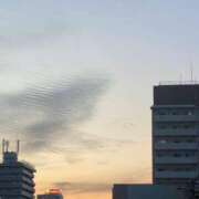 ヒメ日記 2026/04/03 23:19 投稿 まりえ 熟女総本店 堺東店