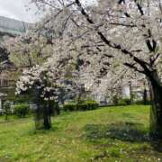 ヒメ日記 2026/04/04 17:45 投稿 まりえ 熟女総本店 堺東店