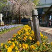 ヒメ日記 2026/04/08 17:48 投稿 まりえ 熟女総本店 堺東店