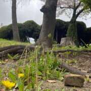 ヒメ日記 2026/04/17 11:14 投稿 まりえ 熟女総本店 堺東店