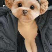 ヒメ日記 2026/03/22 10:31 投稿 きらら 君とふわふわプリンセスin川越