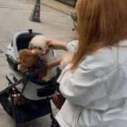 ヒメ日記 2026/03/30 20:31 投稿 きらら 君とふわふわプリンセスin川越