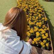 ヒメ日記 2026/04/19 22:03 投稿 きらら 君とふわふわプリンセスin川越