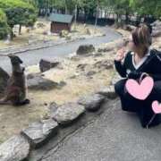 ヒメ日記 2026/03/29 11:41 投稿 エルサ 金瓶梅-きんぺいぱい-