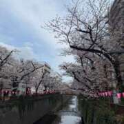 澤田えみ えみのひとりごと MIRAI TOKYO 六本木店