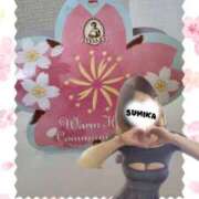 ヒメ日記 2026/03/14 14:00 投稿 すみか 町田人妻城