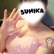 ヒメ日記 2026/03/16 12:54 投稿 すみか 町田人妻城