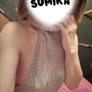 ヒメ日記 2026/03/22 18:30 投稿 すみか 町田人妻城