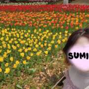 すみか 明日は 町田人妻城