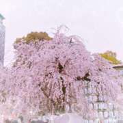 ヒメ日記 2026/04/05 15:02 投稿 まお 上野デリヘル倶楽部