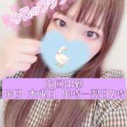 ヒメ日記 2026/04/16 02:15 投稿 まお 上野デリヘル倶楽部