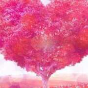 ヒメ日記 2026/04/13 08:21 投稿 さらさ モアグループ小山人妻花壇