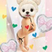 ヒメ日記 2026/03/31 13:08 投稿 福吉 艶妻　船橋店