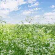 ヒメ日記 2026/06/23 11:26 投稿 ななこ 大宮おかあさん