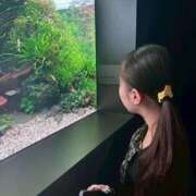 ヒメ日記 2026/04/27 09:05 投稿 なの ソープランド AQUA（アクア）