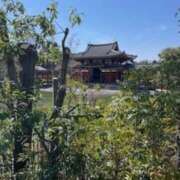 ヒメ日記 2026/03/30 16:08 投稿 夢川莉乃 五十路マダム愛されたい熟女たち岡山店（カサブランカグループ）