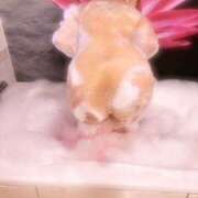 ヒメ日記 2026/04/04 13:50 投稿 夢川莉乃 五十路マダム愛されたい熟女たち岡山店（カサブランカグループ）