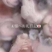 ヒメ日記 2026/03/16 23:41 投稿 乃蒼(のあ) グランドオペラ横浜