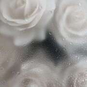 ヒメ日記 2026/03/22 22:43 投稿 乃蒼(のあ) グランドオペラ横浜