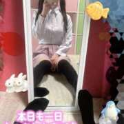 ヒメ日記 2026/06/28 18:09 投稿 海乃 さんご しゃせきょっ!XX教育される制服女子たち