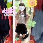 ヒメ日記 2026/07/03 11:09 投稿 海乃 さんご しゃせきょっ!XX教育される制服女子たち