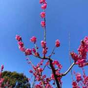 ヒメ日記 2026/03/18 14:04 投稿 ましろ 熟女の風俗最終章 錦糸町店