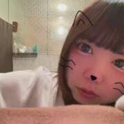 ヒメ日記 2026/07/14 12:22 投稿 ことり TALENT（タレント）