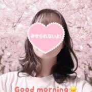 ヒメ日記 2026/04/03 09:35 投稿 美咲 まいか セカンドパートナー池袋