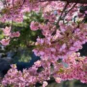 なつ おはようございます☀️ わちゃわちゃ密着リアルフルーちゅ西船橋