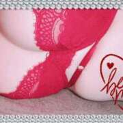 ヒメ日記 2026/04/05 20:14 投稿 つる The White