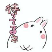 ヒメ日記 2026/04/14 15:28 投稿 のりか 熟女の風俗最終章 高崎店