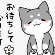 ヒメ日記 2026/04/22 13:30 投稿 のりか 熟女の風俗最終章 高崎店