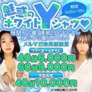 ひなた イベント最終日‼️ ミスキャンパス