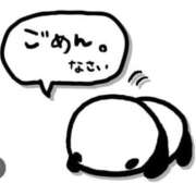 ヒメ日記 2026/04/11 09:36 投稿 戸田　さつき しこたま奥様 札幌店