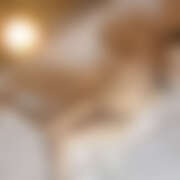 ヒメ日記 2026/03/20 17:00 投稿 もこ コレクション