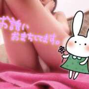 ヒメ日記 2026/06/02 10:45 投稿 もこ コレクション
