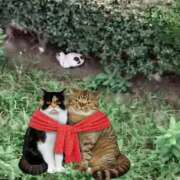 ヒメ日記 2026/03/13 12:26 投稿 篠田 熟女待機所 厚木店